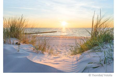 Wasserqualität der Ostsee